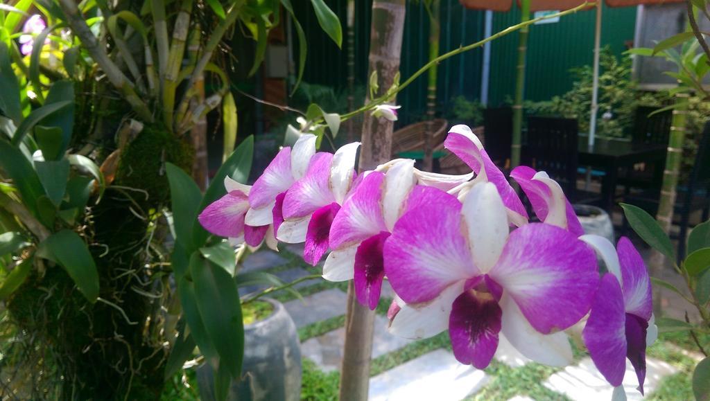Siem Reap Green Home Guesthouse Екстериор снимка